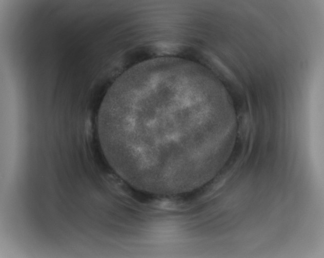 X0000113280655200910051041