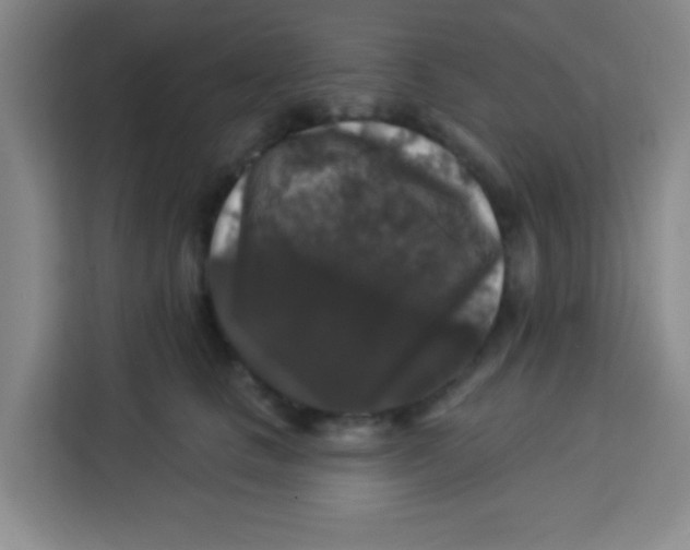 X0000113280661200910051041