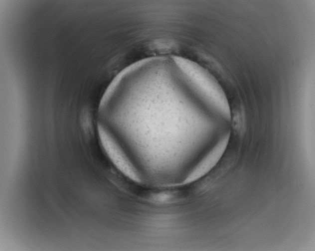 X0000113280662200910051041