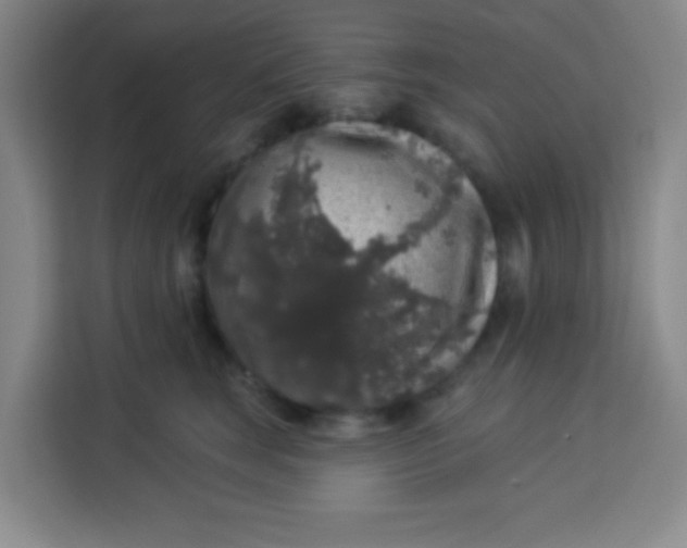 X0000113280663200910051041