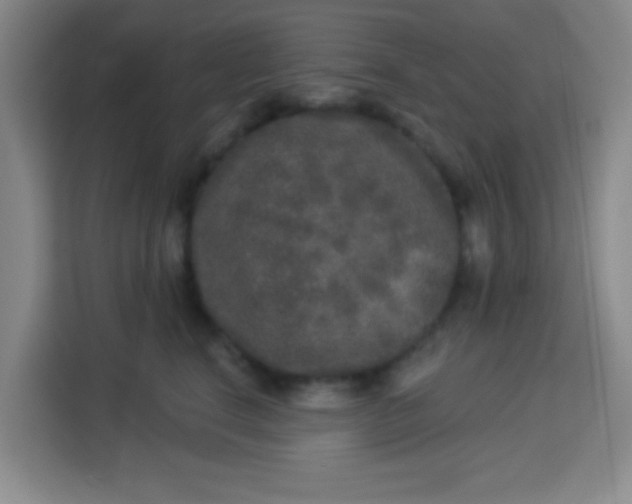 X0000113280664200910051041