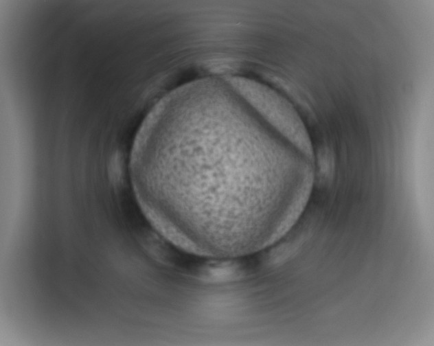 X0000113280667200910051041