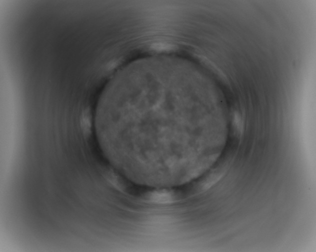 X0000113280668200910051041