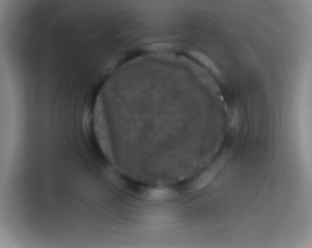 X0000113280669200910051041