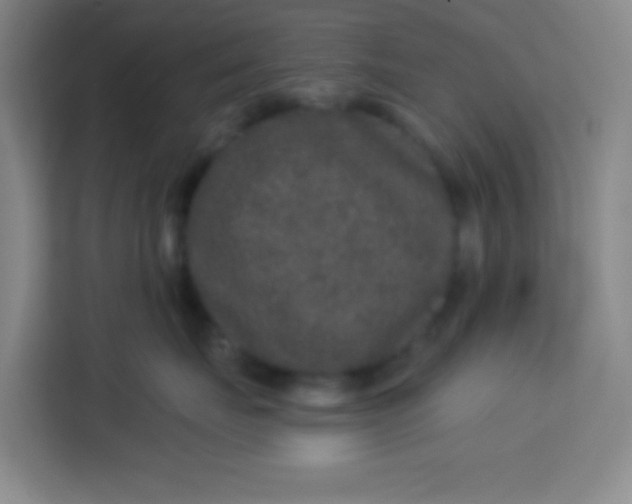 X0000113280671200910051041