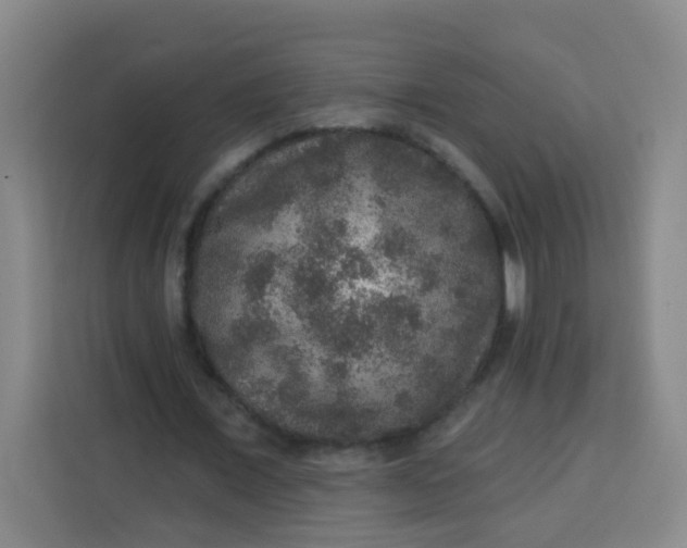 X0000113280675200910051041