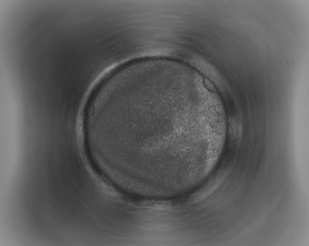 X0000113280676200910051041