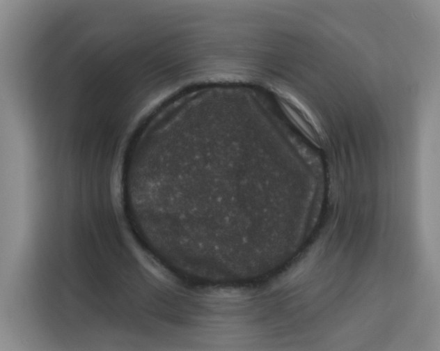 X0000113280677200910051041