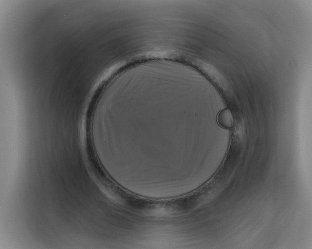 X0000113280678200910051041