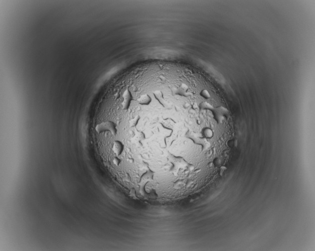 X0000113280679200910051041