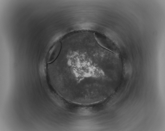 X0000113280680200910051041