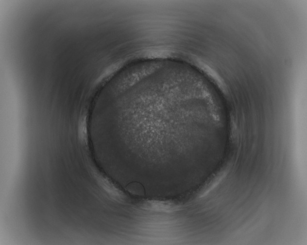 X0000113280681200910051041