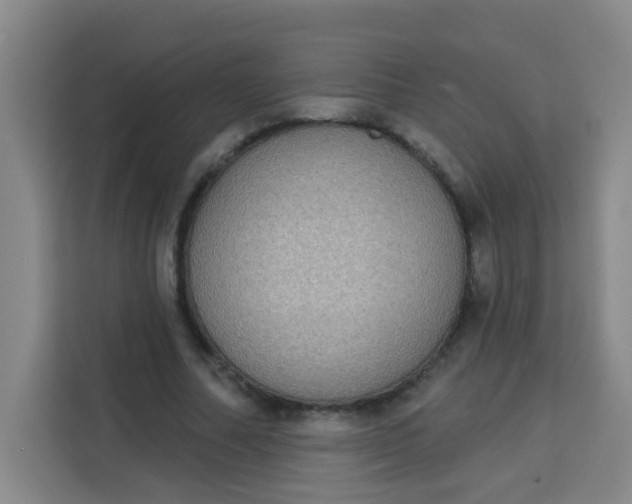 X0000113280682200910051041