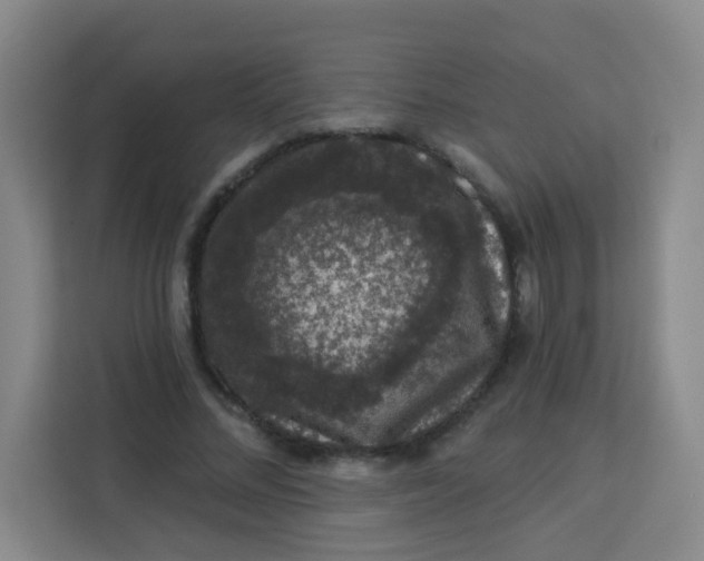 X0000113280684200910051041