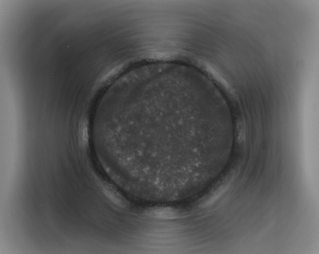 X0000113280685200910051041