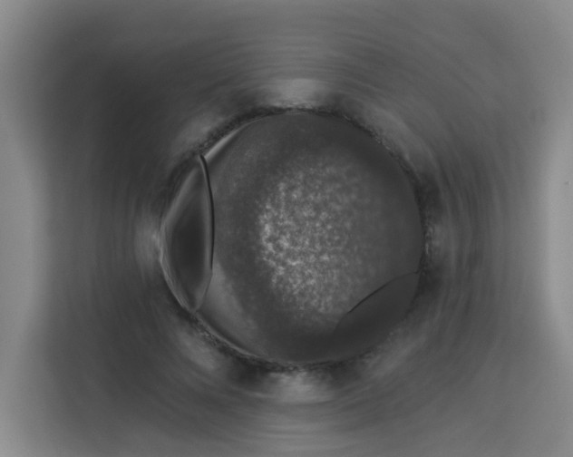 X0000113280688200910051041