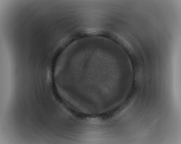 X0000113280689200910051041