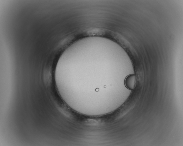 X0000113280690200910051041