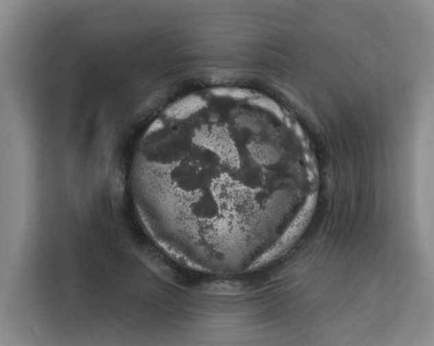 X0000113280691200910051041