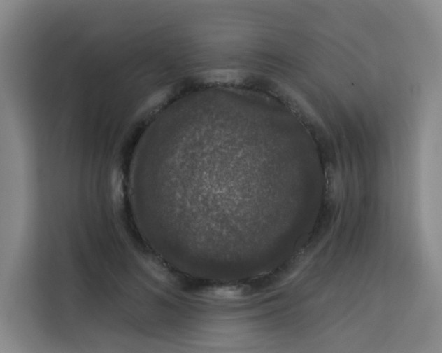 X0000113280692200910051041