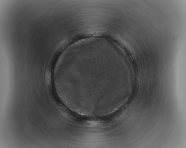 X0000113280693200910051041