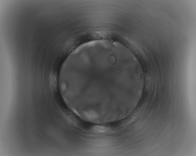 X0000113280699200910051040