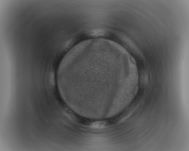 X0000113280700200910051040