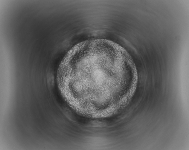 X0000113280703200910051040