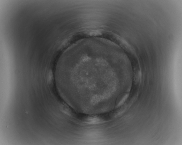 X0000113280704200910051040