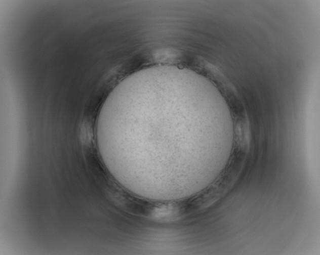 X0000113280705200910051040