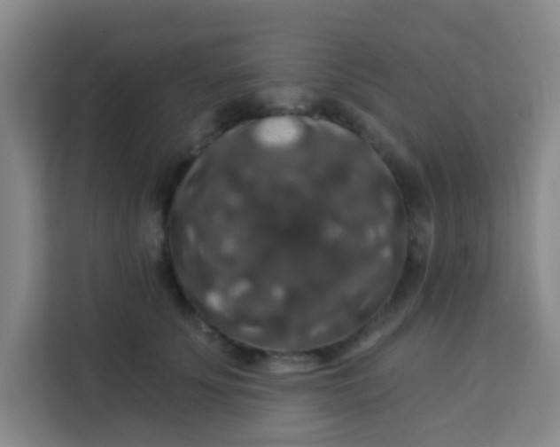 X0000113280707200910051040