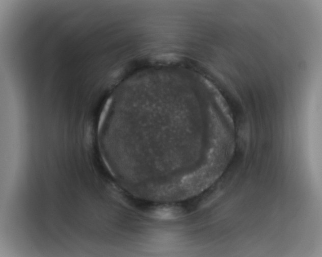 X0000113280708200910051040