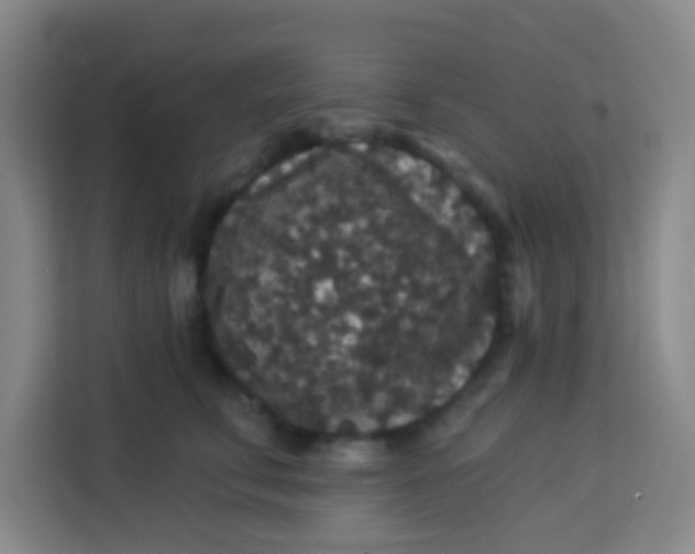 X0000113280711200910051040