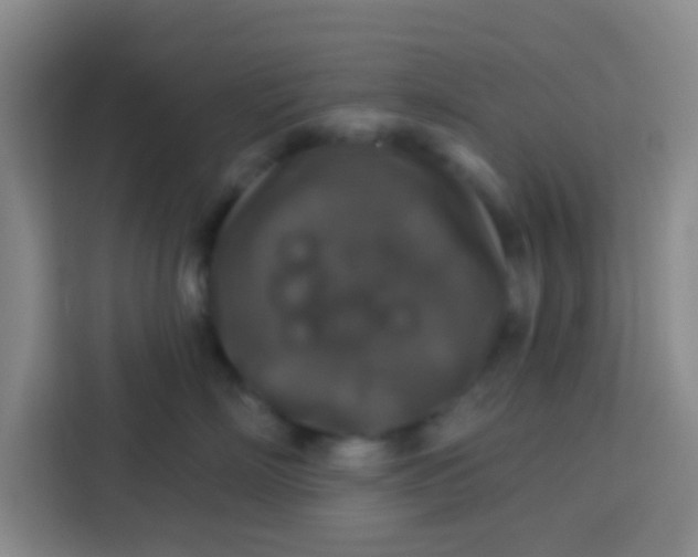 X0000113280718200910051040