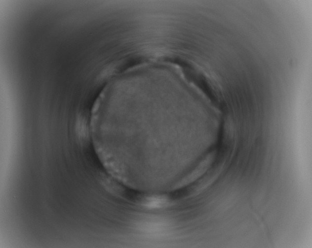 X0000113280719200910051040