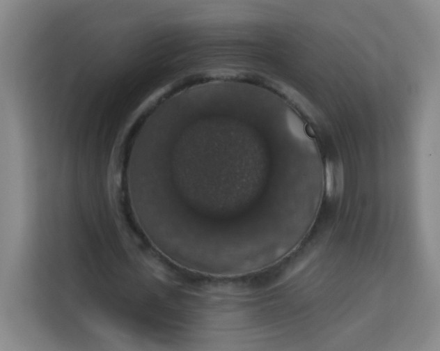 X0000113280723200910051040