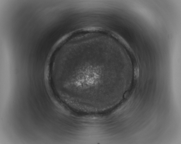 X0000113280724200910051040