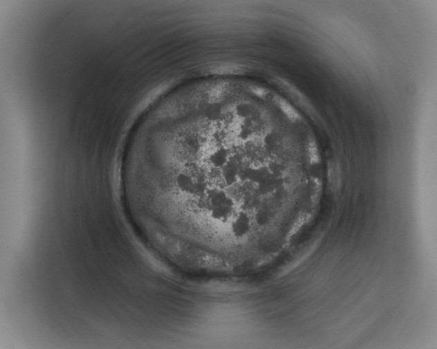 X0000113280725200910051040