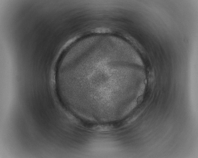 X0000113280727200910051040