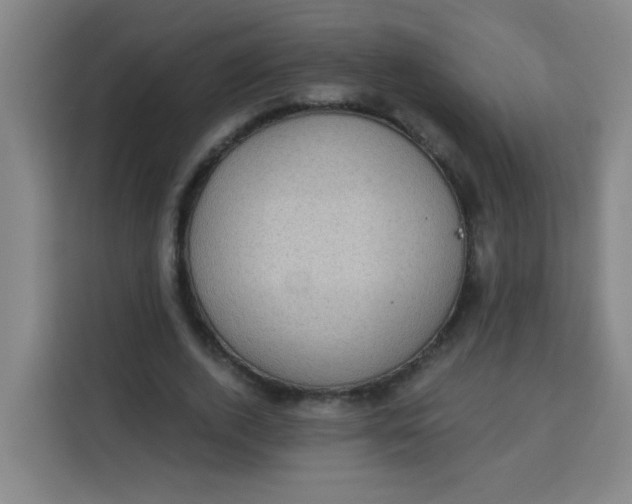 X0000113280728200910051040