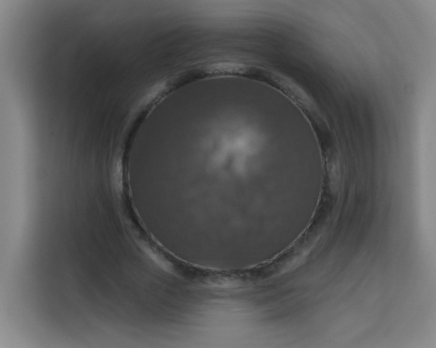 X0000113280729200910051040