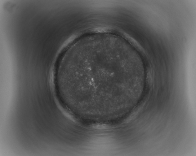 X0000113280730200910051040