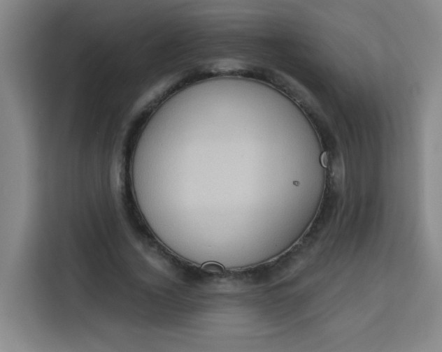 X0000113280732200910051040