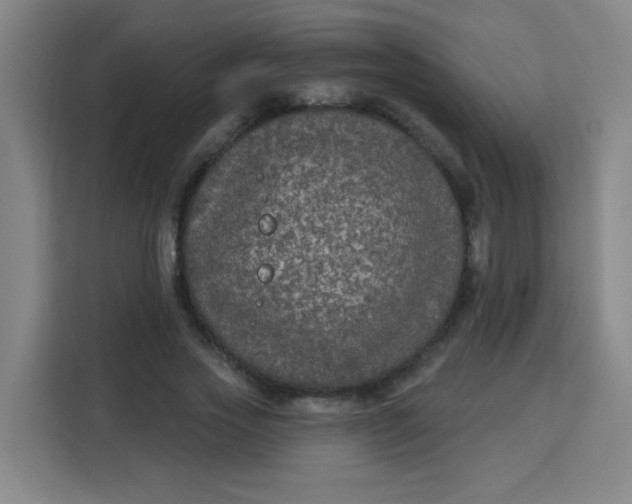 X0000113280733200910051040