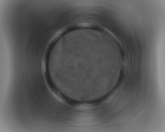 X0000113280734200910051040