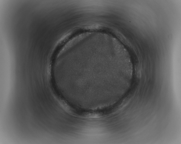 X0000113280735200910051040