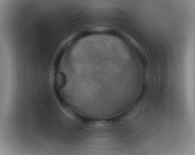 X0000113280736200910051040