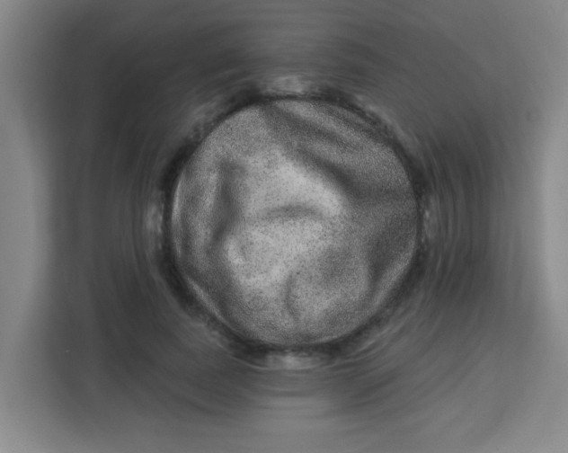 X0000113280739200910051040