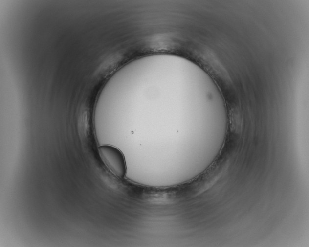 X0000113280740200910051040