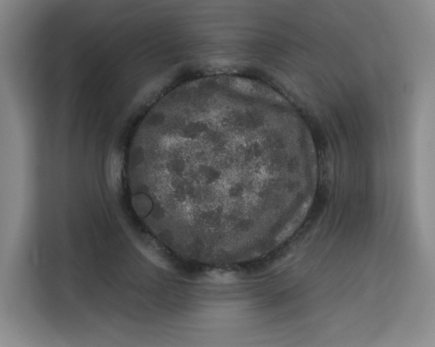 X0000113280742200910051040